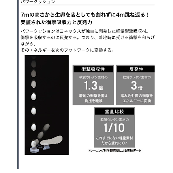 テニスショップラリー Yonex ヨネックス テニスシューズ パワークッション エクリプション3ウィメン オムニ クレーコート用 Power Cushion Ecripsion3women Shte3lgc 022 ラベンダー